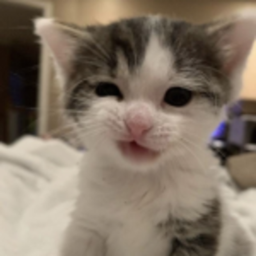 mow