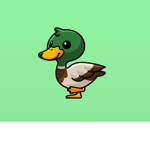 The best Ducky gang