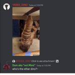 MIMIGAMING