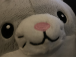 My Plush kitty Group