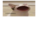 pogcat pro player