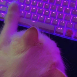 >ᴗ<