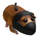 Ninja guinea pig studio