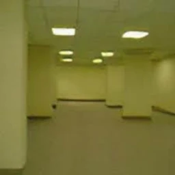 Untitled backrooms game icon