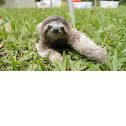 the sloth meeting area