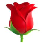 ~_Roses and Thorns_~