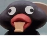 Le Pingu club :D