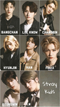 STAY ONLY WITH STRAY KIDS