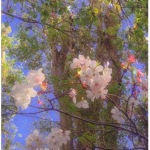 Nature’s children