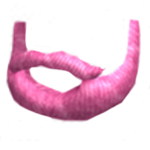 Strange’s Pink Beard group