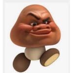do the mario team fan club