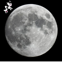 The Cow went over the moons town