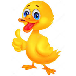 U.S Duck Army