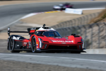 [NERC] National Endurance Racing Championship
