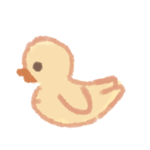 Sketchiko