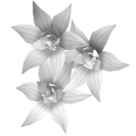 Parasite Flower