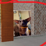 Oreintal Shorthair Cat Horror Experiance Small Upd