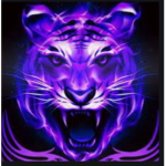 Thepurplegamergang