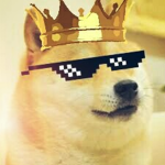 The Doge Club!!
