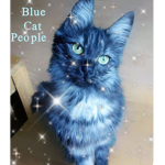 Blue cat people