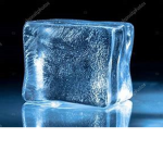 THE ICE QUEENS!!