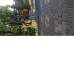 ROMANIAS