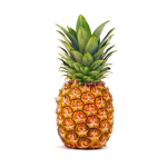 Pineapple Sqaud!