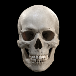 Manmade Disaster Survival icon