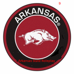 Arkansas State Roleplay I ER:LC