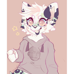 Furry Meeting Hangout