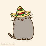 taco cat nation <3