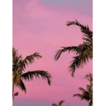 Ellise gaming yt//official group