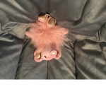 The awesome opossum