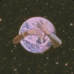 Taylor's World