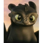 How To Train Your Dragon Squad