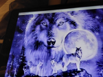 Wolf. Cool