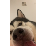Clothes _store