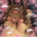 rat_squad_trio