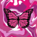 Pink butterfly Xd's squad!