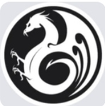 Dragão Warriors