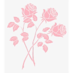 h u n n y~
