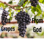 Da Grapes From God