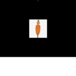 BABY CARROT GROUP