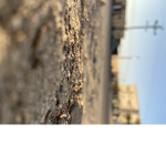 ففاا