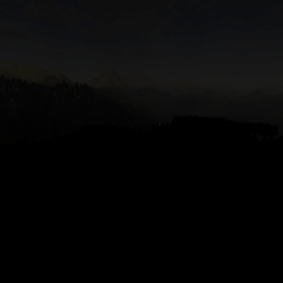 The Forest Calls