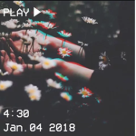 ᴀᴇsᴛʜᴇᴛɪᴄ ᴅᴏʟʟs