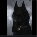 ~Night wolves~
