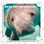 Manatee Saver Group!