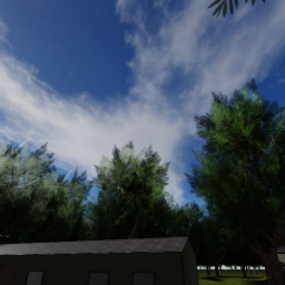 "The Grove" (WIP)