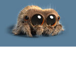 Spiders Squad